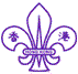 Scouts logo